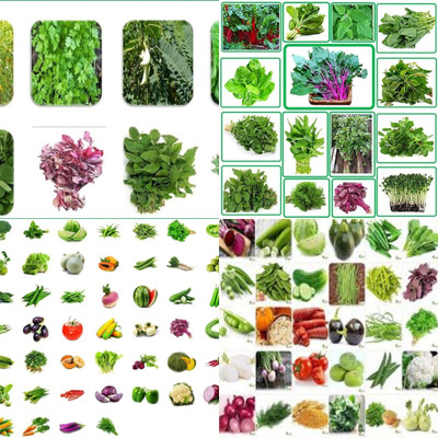 ibains Vegetable seeds for home garden summer biij 217 Seed(201 per packet)