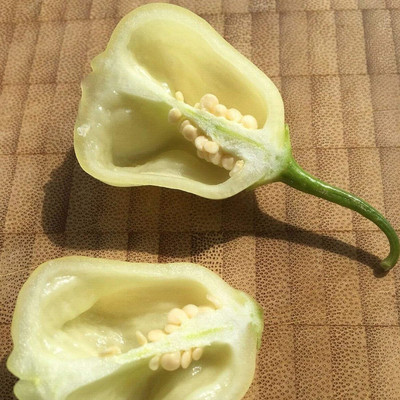 CYBEXIS Organic White Bells Chili Seeds 1200 Seeds Seed(1200 per packet)