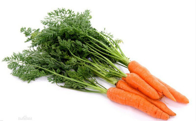 Avysa Orange Carrot/Gaajar Gardening Seed(300 per packet)