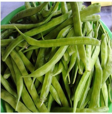 Avysa Cluster Beans (gawar,guar Phalli,goru chikkudu,kothavara) Seed(1000 per packet)