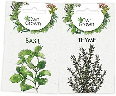 CYBEXIS 2 - Varities Seeds Combo-Thyme,Basil Seed(10 g)