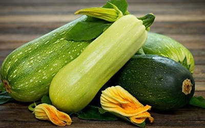 WILLVINE NDIR-325 Zucchini Courgette Squash Summer Mix Seed(100 per packet)