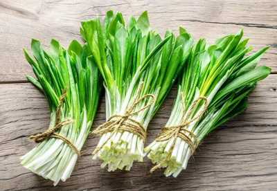 KNESSiN F1 Hybrid Wild Onion Seeds For Kitchen Gardening-(1200 Seeds) Seed(1200 per packet)
