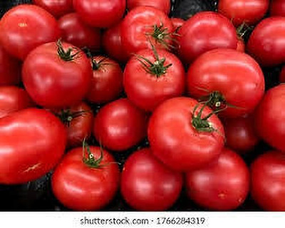 XOLDAA hybrid f1 quality tomato seeds Seed(20 per packet)