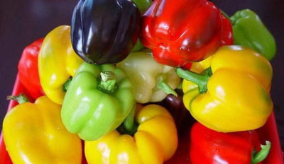 KNESSiN Heirloom Mix Multicolor Capsicum Seeds For Kitchen Gardening-(200 Seeds) Seed(200 per packet)