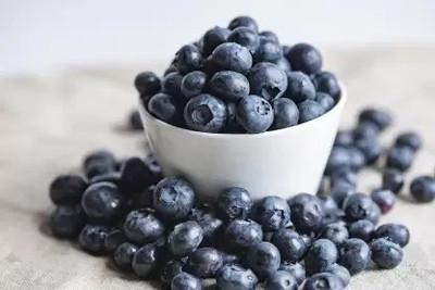 Aro Blueberry, Blueberries Seed(31 per packet)