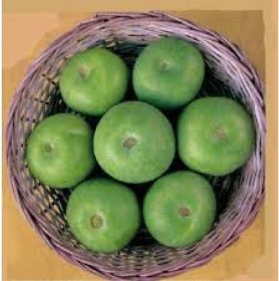 Farmonix Org_175_Apple-Gourd Seeds Seed(100 per packet)