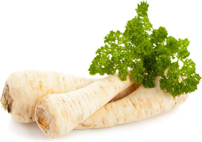 CYBEXIS XLR-40 - Parsley Sugar Root - (750 Seeds) Seed(750 per packet)