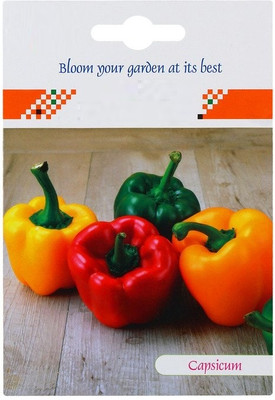 CYBEXIS Mixed Capsicum Hybrid Seeds2400 Seeds Seed(2400 per packet)