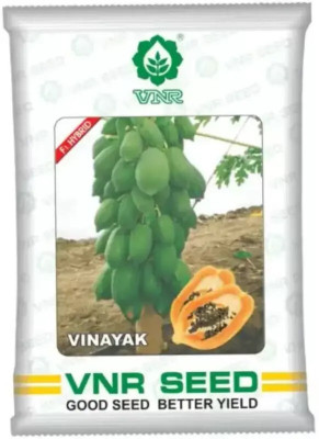 the green dotcom VNR VINAYAK PAPAYA SEED F1 HYBRID 10 GRAM Seed (10 g) Seed(1 per packet)