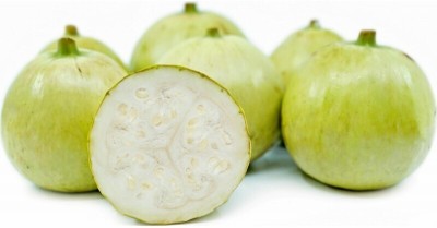 Quentova Apple Gourd Tinda-SNIG-5G Seed(50 per packet)