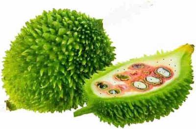 HAMPHU Kalrol/kantola seed Seed(10 per packet)