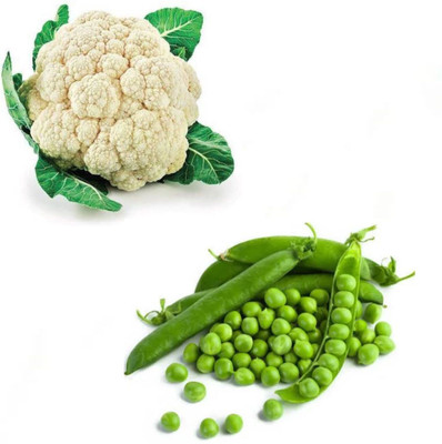 PSAgroinput Phool Gobhi-Green Peas (MATAR )Vegetable Seed(100 g)