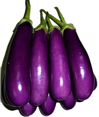 ME Traders Brinjal Purple Long Seed(30 per packet)