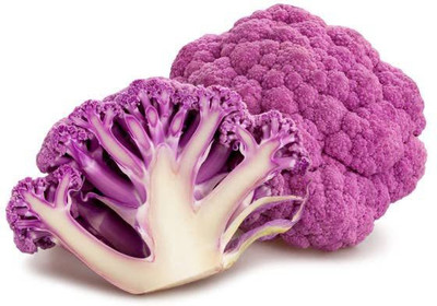WILLVINE SCI -XII Phol Gobhi Hybrid F1 Cauliflower (Purple)[2.5g, 750 Seeds] Seed(750 per packet)