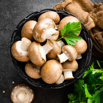 XOLDA Organic mushroom herb Seed(38 per packet)