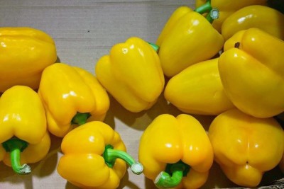 CYBEXIS Hardy Sweet Pepper Yellow Capsicum seeds TELIMENA600 Seeds Seed(600 per packet)