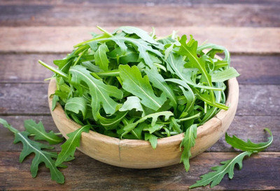 CEZIUS Arugula Herb Rocket, Slow Bolt Seed(100 per packet)