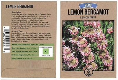 CYBEXIS Healing Herb Seeds Lemon Bergamot Seed(100 per packet)
