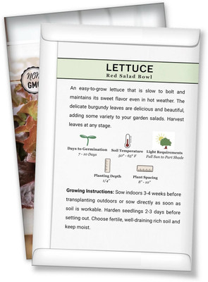 Quentova Red Salad Bowl Lettuce 2.5gm-XIL-8P Seed(2000 per packet)