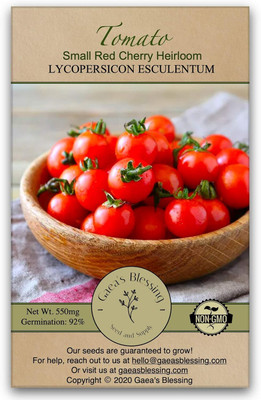 Qualtivate VXL-3AT Tomato - Small Red Cherry Seed(300 per packet)