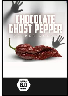 Qualtivate GBPT-1A Chocolate Ghost Chilli Pepper Seed(300 per packet)