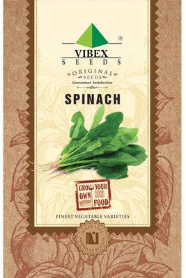 WILLVINE Palak or Spinach Seeds - (3000 Seeds) Seed(3000 per packet)