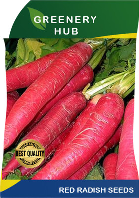 Greenery Hub Crisp Red Radish Seeds for Garden Fresh Harvests Seed(50 per packet)
