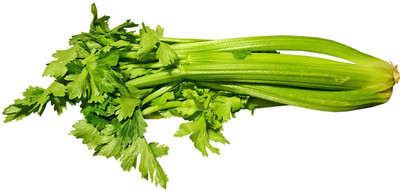 Quentova Organic Green Celery Vegetable-10P-PUAS Seed(200 per packet)