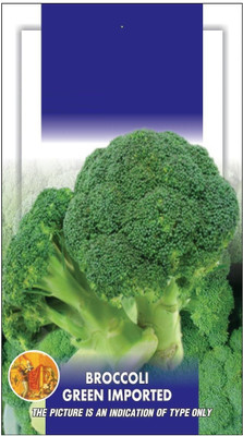 WILLVINE VNR -XIII Broccoli Green Imported Seeds [25g] Seed(7500 per packet)