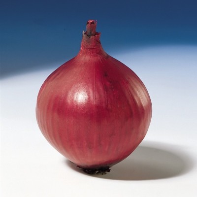 WATIKA Onion Red Baron Seed(3000 per packet)