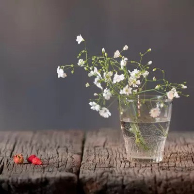 Aro Gypsophila Seed(157 per packet)