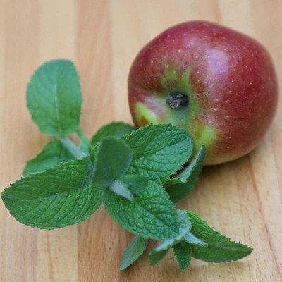 Qualtivate PUAS-7A Apple Mint Seeds Seed(200 per packet)