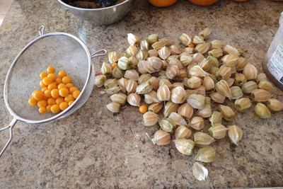 QALANDAR Ground Cherry - Peruvian golden berry Seed(100 per packet)