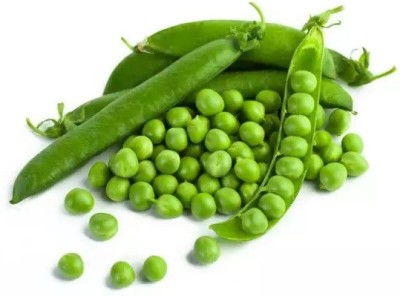 MYLAWN (Matar) Peas Seeds (मटर के बीज) Seed(200 per packet)