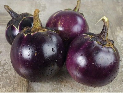 Qualtivate PUA-9A Thai Round Purple Brinjal Seeds Seed(300 per packet)