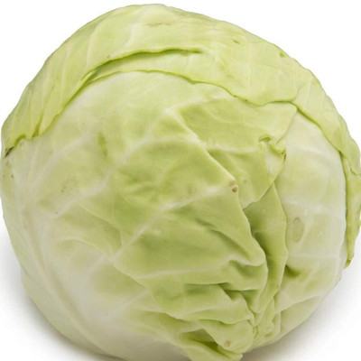 KNESSiN Garden-Veg-Seed-Cabbage-[400 Seeds] Seed(400 per packet)