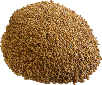 Numinous Alfalfa, Rajka, Lucerne, Methi, Medicago Sativa, Fodder Grass (3 Year Variety) Seed(4 kg)