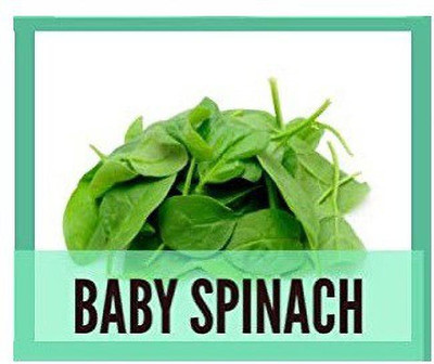 CYBEXIS Baby Spinach2000 Seeds Seed(2000 per packet)