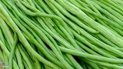 AloGardening Snake Bean Seed(77 per packet)