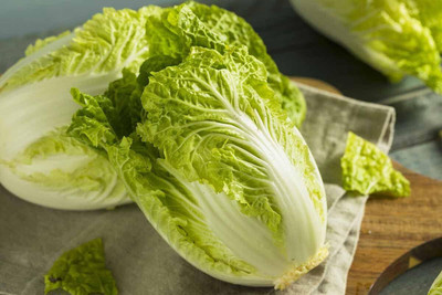 WILLVINE MEH -XI Chinese Cabbage Seeds - Michihili Heirloom [2.5g] Seed(750 per packet)