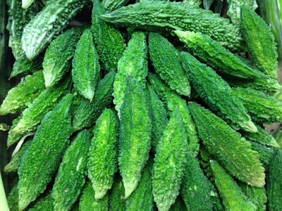 jkfarm Karela, Bitter Gourd, Uchchhe Seed(25 per packet)