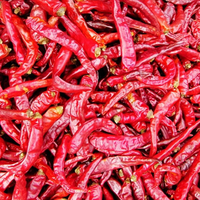 CYBEXIS Red Trinidad Moruga Scorpion Chilli Seeds-300 Seeds Seed(300 per packet)