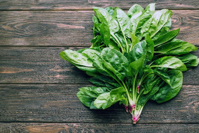 LPR SPINACH , PALAKH Seed(400 per packet)