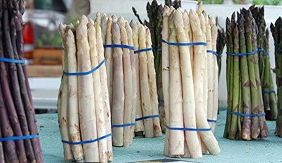 KNESSiN Asparagus Seed(30 per packet)