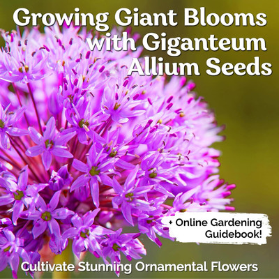 Biosnyg Fast Growing Giant Blue Onion Flower Seeds for Home Gardening-(3000 Seeds) Seed(3000 per packet)