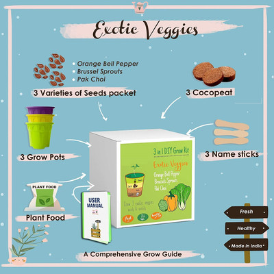 VibeX Grow Kit Set Beginners -Orange Bell Peppers, Brussels Sprouts Pak Choi Seed(30 per packet)