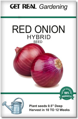 WILLVINE VMR -I Red Onion Hybrid Vegetable Seeds [100g] Seed(300 per packet)