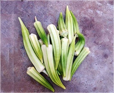 KNESSiN Rare Silver Queen Okra/Ladies Finger/Bhindi Organic Heirloom Vegetable Seeds Seed(150 per packet)