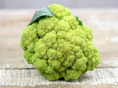 KNESSiN Macerata Cauliflower Seed(200 per packet)